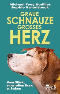 Graue Schnauze, großes Herz: Vom Glück, einen alten Hund zu haben