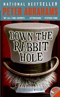 Down the Rabbit Hole (Echo Falls Mystery, Band 1)