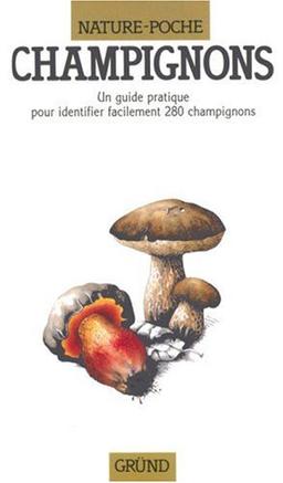 Champignons