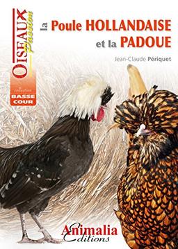 La poule hollandaise et la padoue