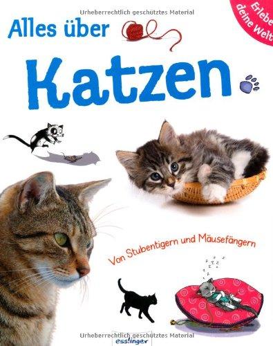 Alles über Katzen