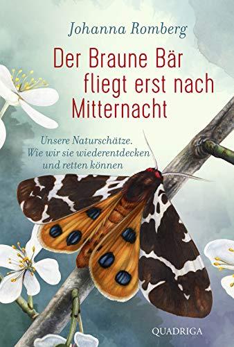 Der Braune Bär fliegt erst nach Mitternacht: Unsere Naturschätze. Wie wir sie wiederentdecken und retten können