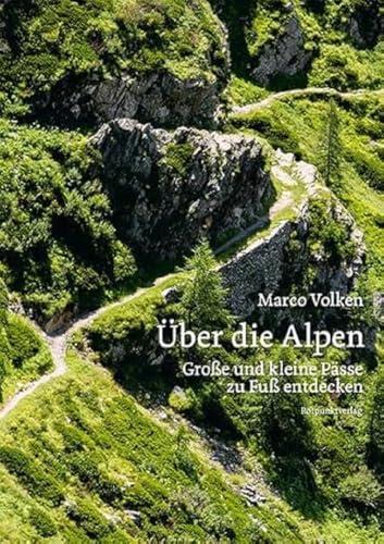 Über die Alpen: Große und kleine Pässe zu Fuß entdecken