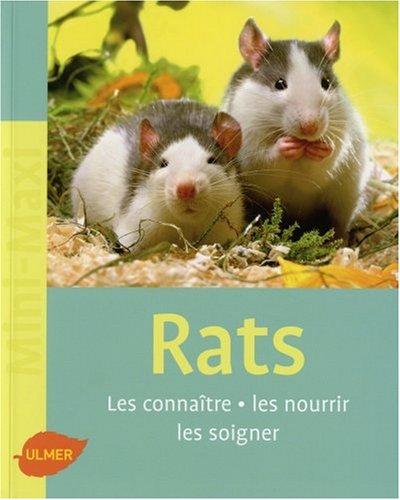 Rats : les connaître, les nourrir, les soigner