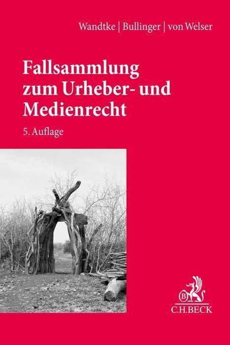 Fallsammlung zum Urheber- und Medienrecht: Für Studium, Fachanwaltsausbildung und Praxis