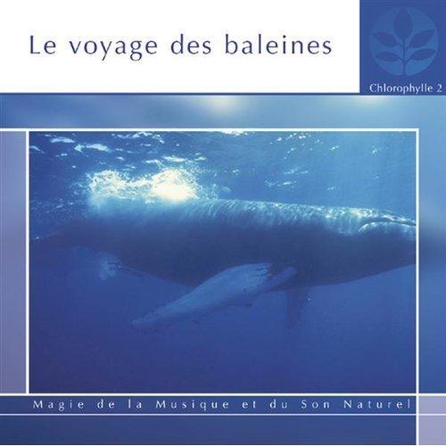 Le Voyage Des Baleines