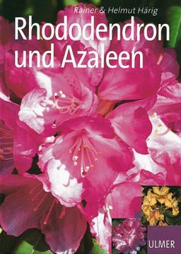 Schöne Rhododendron und Azaleen