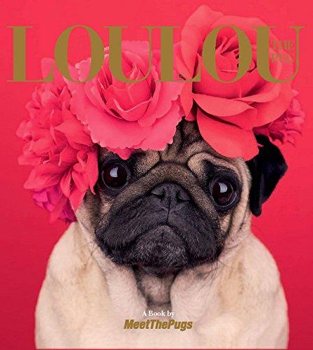 Loulou the Pug: A Book by Meet the Pugs