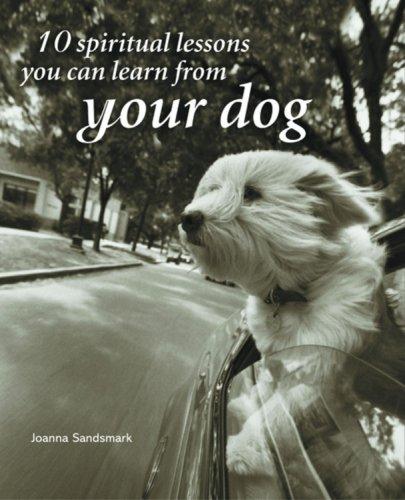 10 Spiritual Lessons You Can Learn from Your Dog