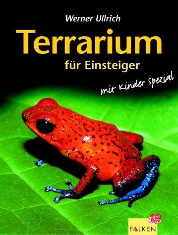 Terrarium für Einsteiger