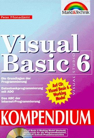 Visual Basic 6 Kompendium: Professioneller Einstieg in die 32-Bit-Programmierung (Kompendium / Handbuch)