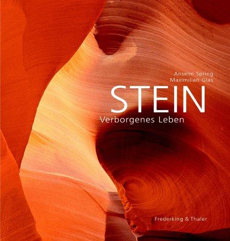 Stein. Verborgenes Leben