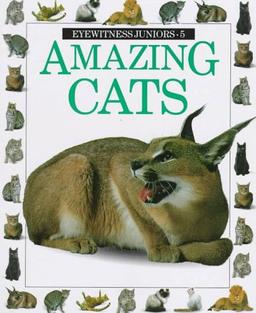 Amazing Cats (Eyewitness Junior)