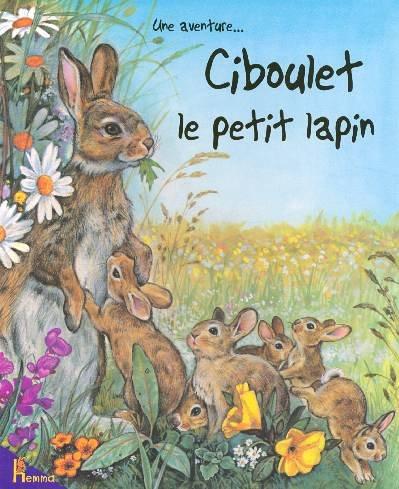 Ciboulet le petit lapin