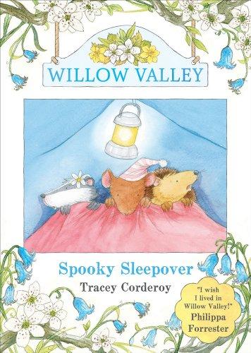 Spooky Sleepover (Willow Valley, Band 2)