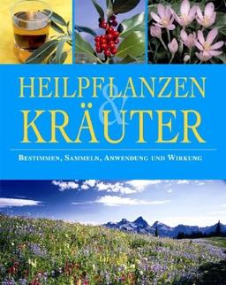 Heilpflanzen & Kräuter