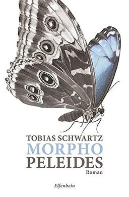 Morpho peleides: Roman