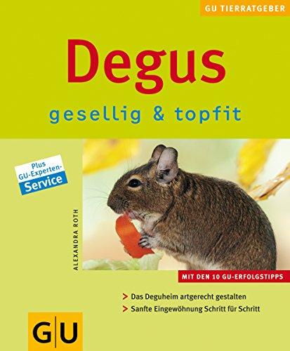 Degus gesellig & topfit