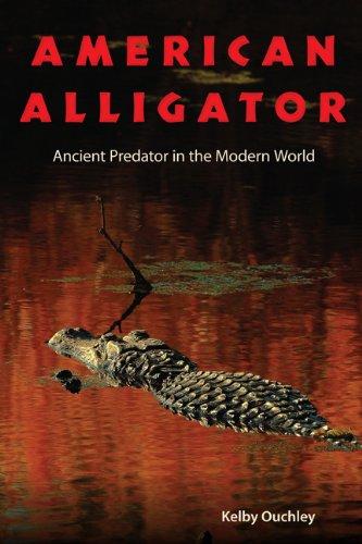 American Alligator: Ancient Predator in the Modern World