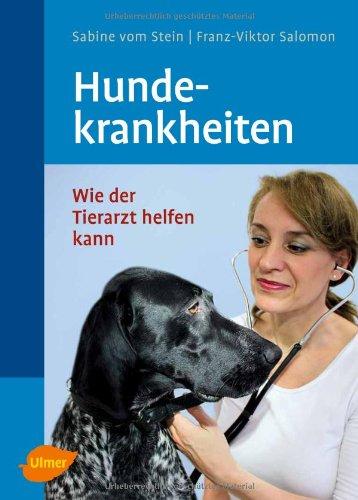 Hundekrankheiten: Wie der Tierarzt helfen kann