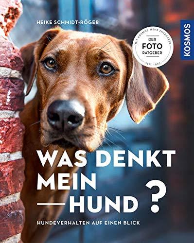 Was denkt mein Hund?: Hundeverhalten auf einen Blick