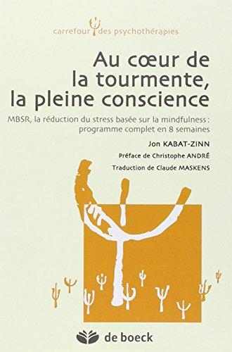 Au coeur de la tourmente, la pleine conscience : MBSR, la réduction du stress basée sur la mindfulness : programme complet en 8 semaines