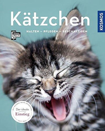 Kätzchen: halten, pflegen, beschäftigen (Mein Tier)