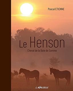 Le Henson : cheval de la baie de Somme