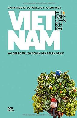 Fettnäpfchenführer Vietnam: Wo der Büffel zwischen den Zeilen grast