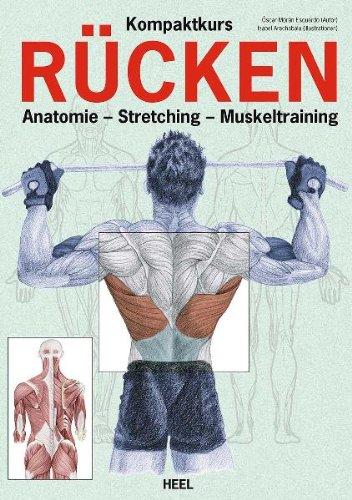 Kompaktkurs Rücken: Anatomie - Stretching - Muskeltraining