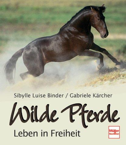 Wilde Pferde. Leben in Freiheit