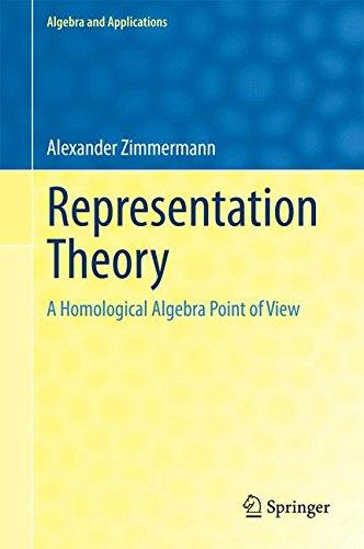 Representation Theory: A Homological Algebra Point of View (Algebra and Applications)