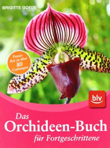 Das Orchideen-Buch für Fortgeschrittene