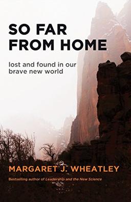 So Far from Home: Lost and Found in Our Brave New World