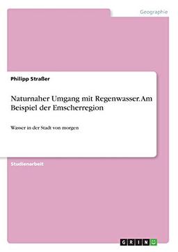 Naturnaher Umgang mit Regenwasser. Am Beispiel der Emscherregion: Wasser in der Stadt von morgen