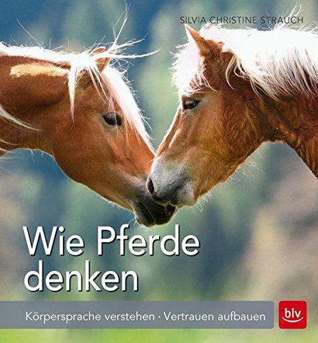 Wie Pferde denken: Körpersprache verstehen · Vertrauen aufbauen