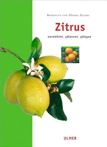 Zitrus: Auswählen, pflanzen, pflegen