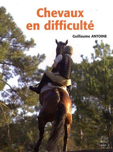 Chevaux en difficulté : diagnostics et préconisations