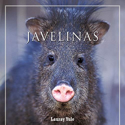 Javelinas (Look West Series)