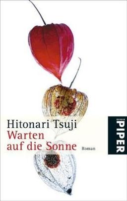 Warten auf die Sonne: Roman