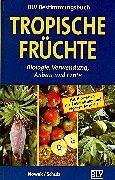 Tropische Früchte