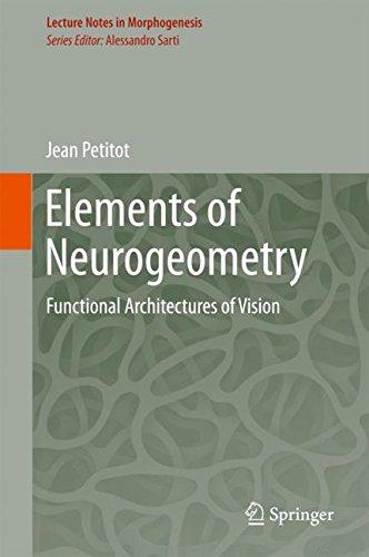 Elements of Neurogeometry: Functional Architectures of Vision (Lecture Notes in Morphogenesis)