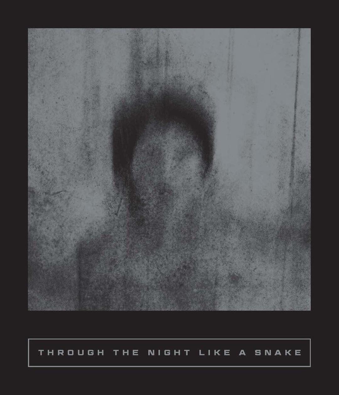 Through the Night Like a Snake: Latin American Horror Stories (Calico)