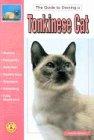 The Guide to Owning a Tonkinese Cat