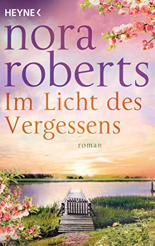 Im Licht des Vergessens: Roman