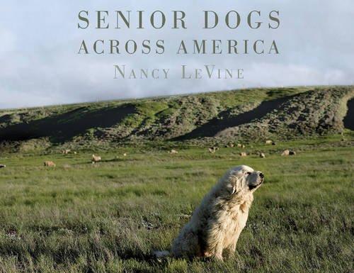 Senior Dogs Across America: Portraits of Man's Best Old Friend