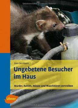 Ungebetene Besucher im Haus - Marder, Ratten, Mäuse und Waschbären vertreiben