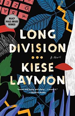 Long Division: A Novel