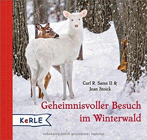 Geheimnisvoller Besuch im Winterwald Mini