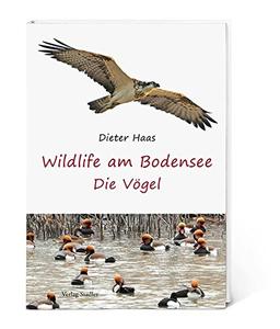 Wildlife am Bodensee: Die Vögel